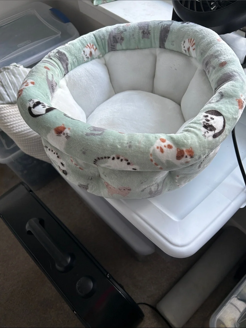 Plush Mint Animal-Print Kids Cozy Nest